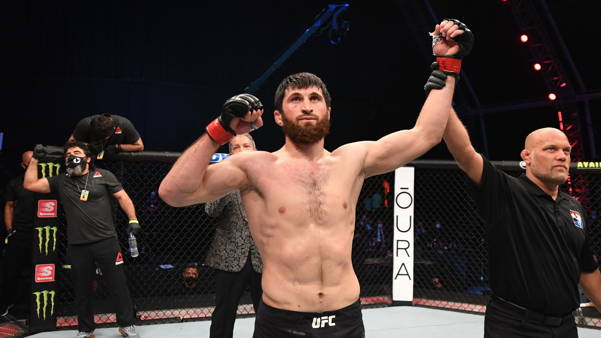 фото: открытый источник