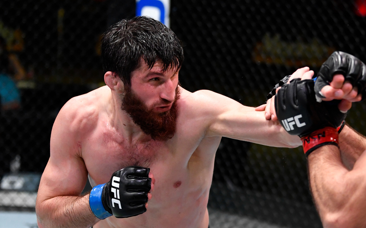 фото: открытый источник