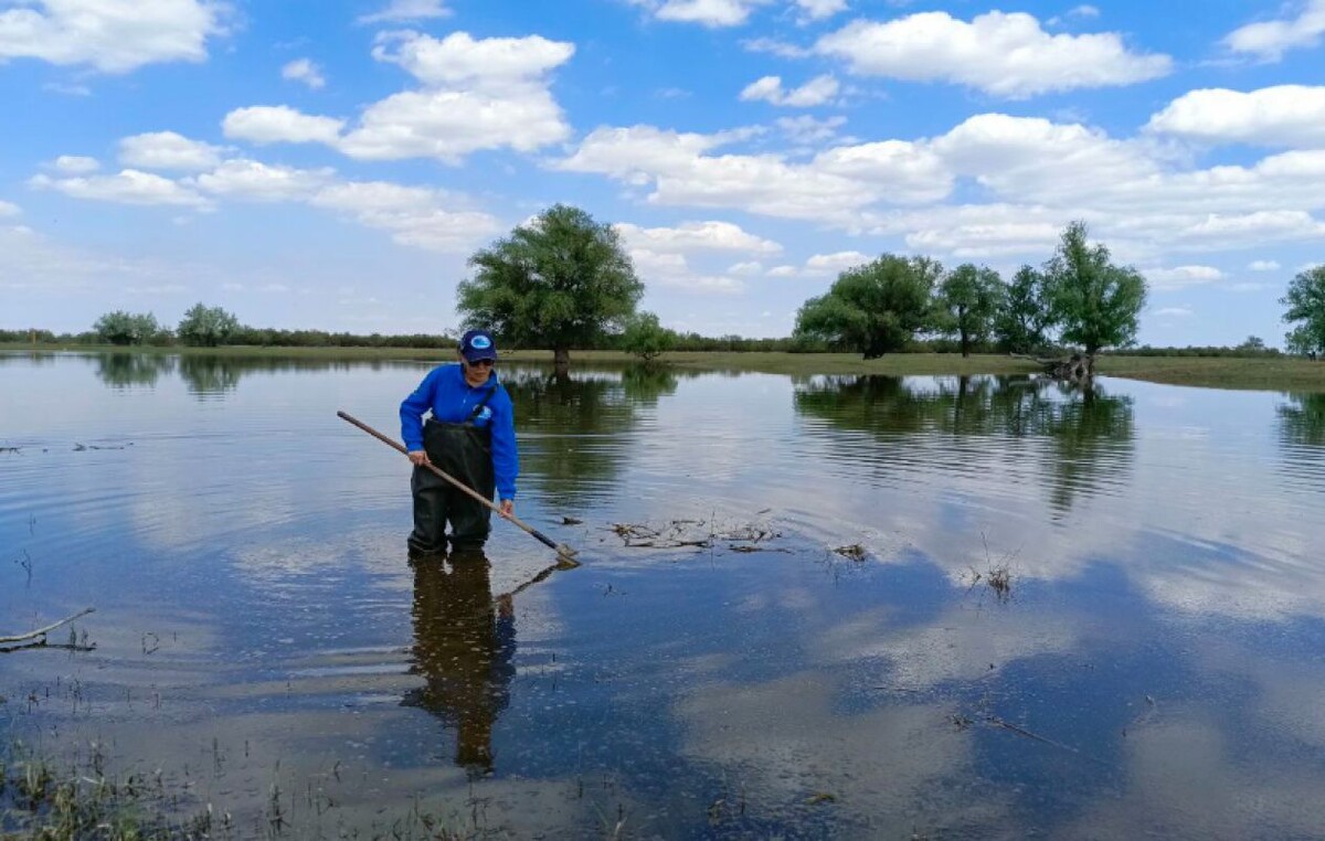 Фото: «КаспНИРХ»