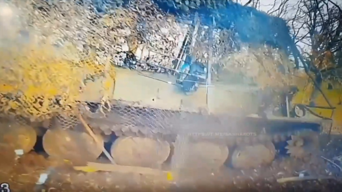    Фото: Kotsnews / Telegram