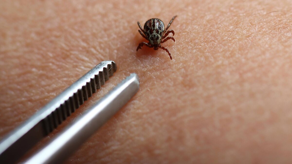    Фото: IMAGO/Rüdiger Rebmann/globallookpress.com