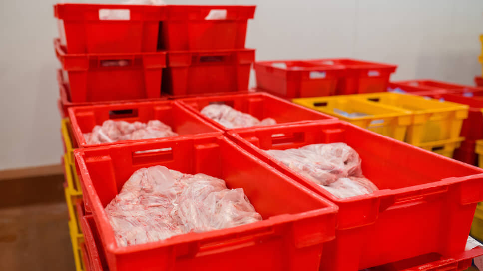 Фото: Олег Харсеев / Коммерсантъ