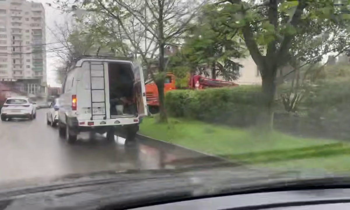    Фото t.me/sochitypical