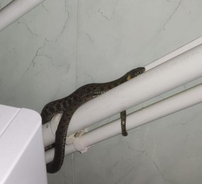 Источник фото: "Приазовская степь"