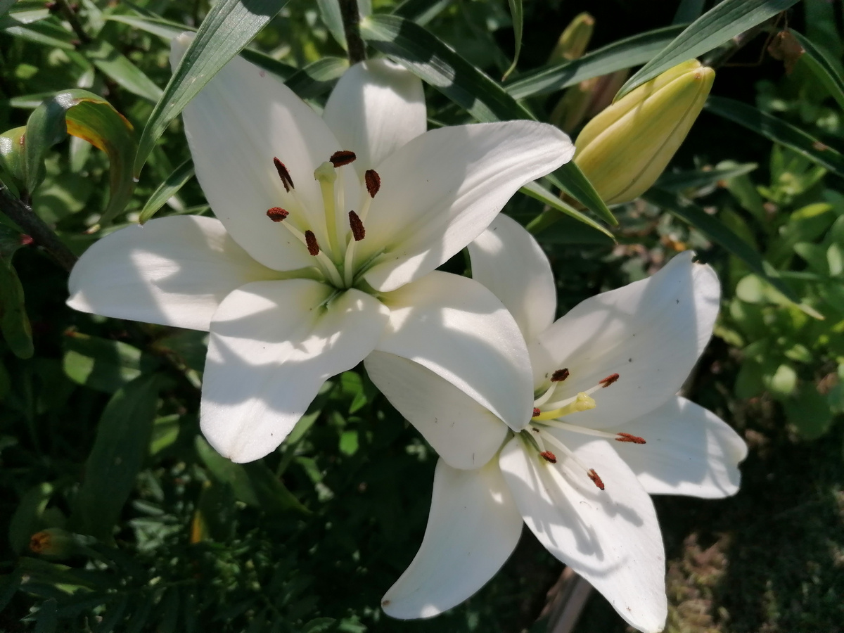 Предупреждение