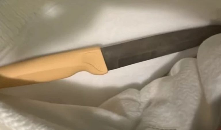    Фото: МВД Москвы Александра Горохова