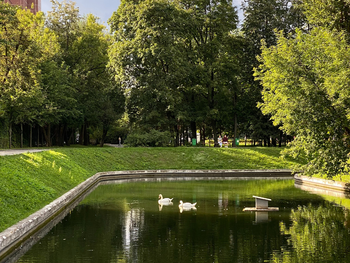 Фото автора канала. Парк «Усадьба Трубецких».