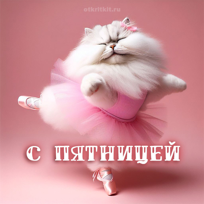 Кошечка балерина. OtkritKit.ru