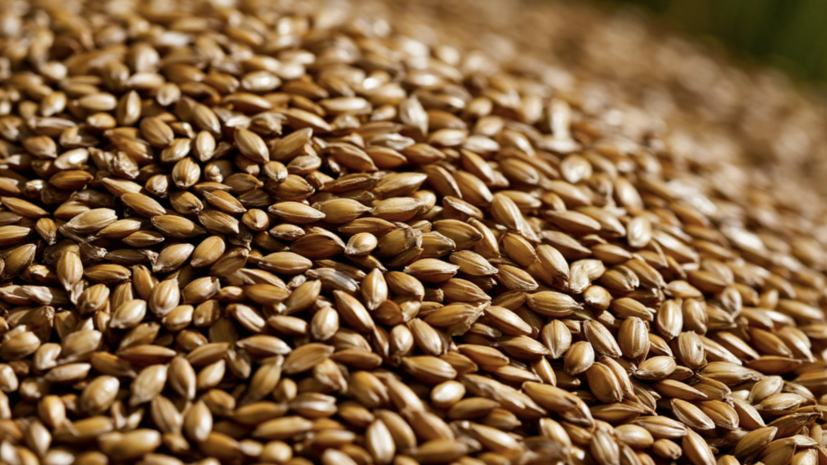    Сгенерировано с помощью ИИ