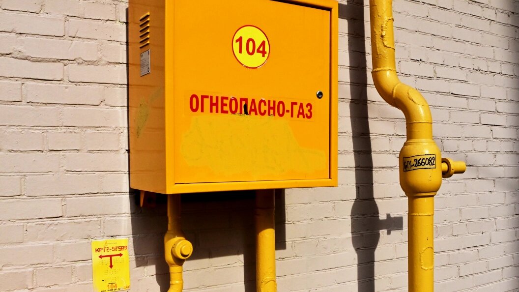    Фото: Vladimir Baranov/Globallook Press