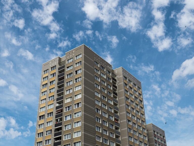    Фото: unsplash.com/Marcus Lenk Илья Федоров