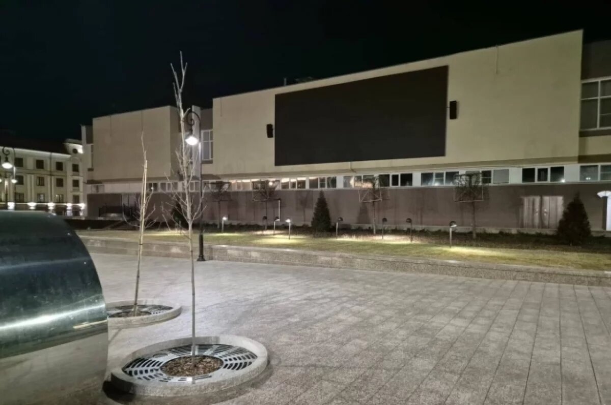    В городском саду Омска покажут матч «Авангарда»