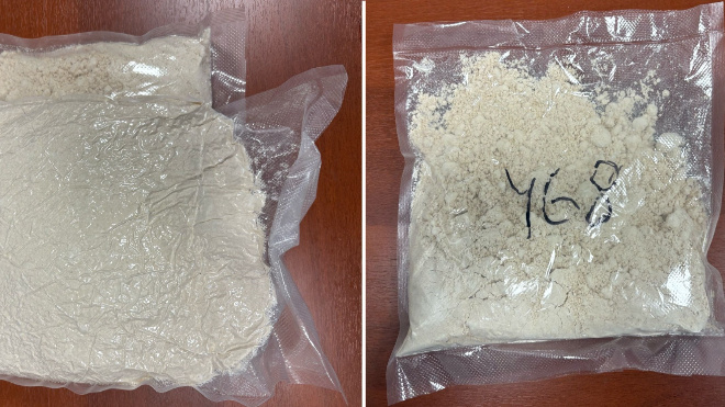 Фото: Пресс-служба ГУ МВД России по Санкт-Петербургу и Ленинградской области