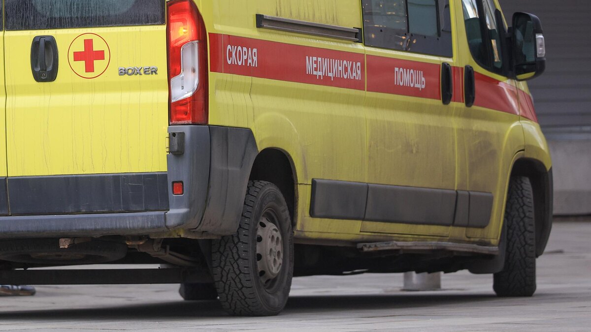    Фото: Shatokhina Natalia/globallookpress.com