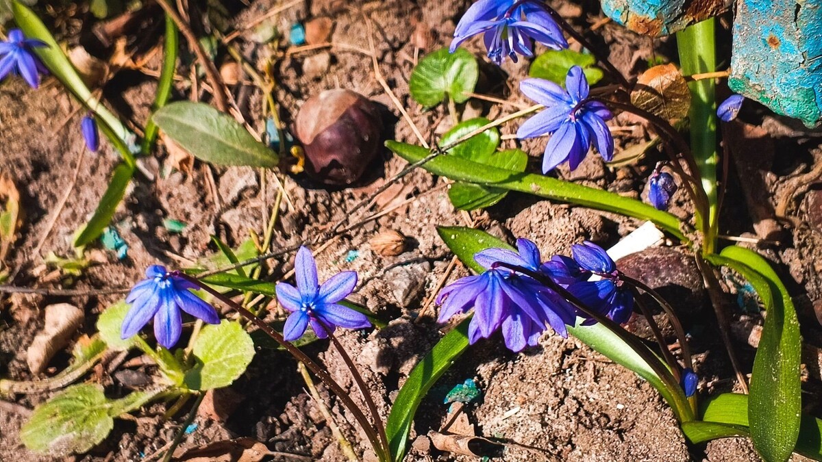     Источник: 1MI