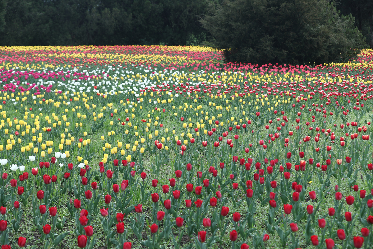 Фото: Станислав Телеховец