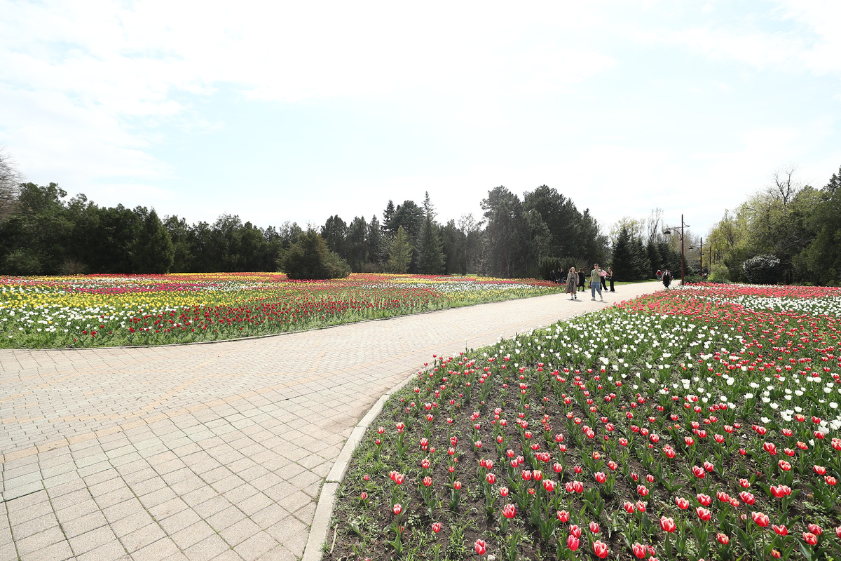 Фото: Станислав Телеховец