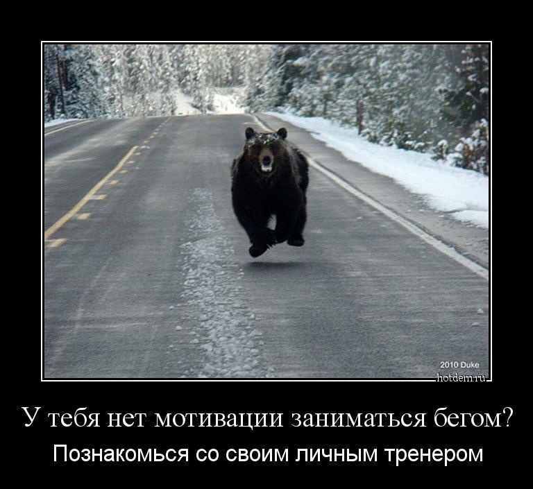 У моих учеников в Сибири есть такие мои коллеги