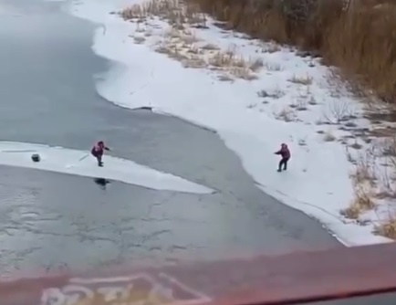    Фото: СВИП Кунгур/VK Ульяна Бажанова