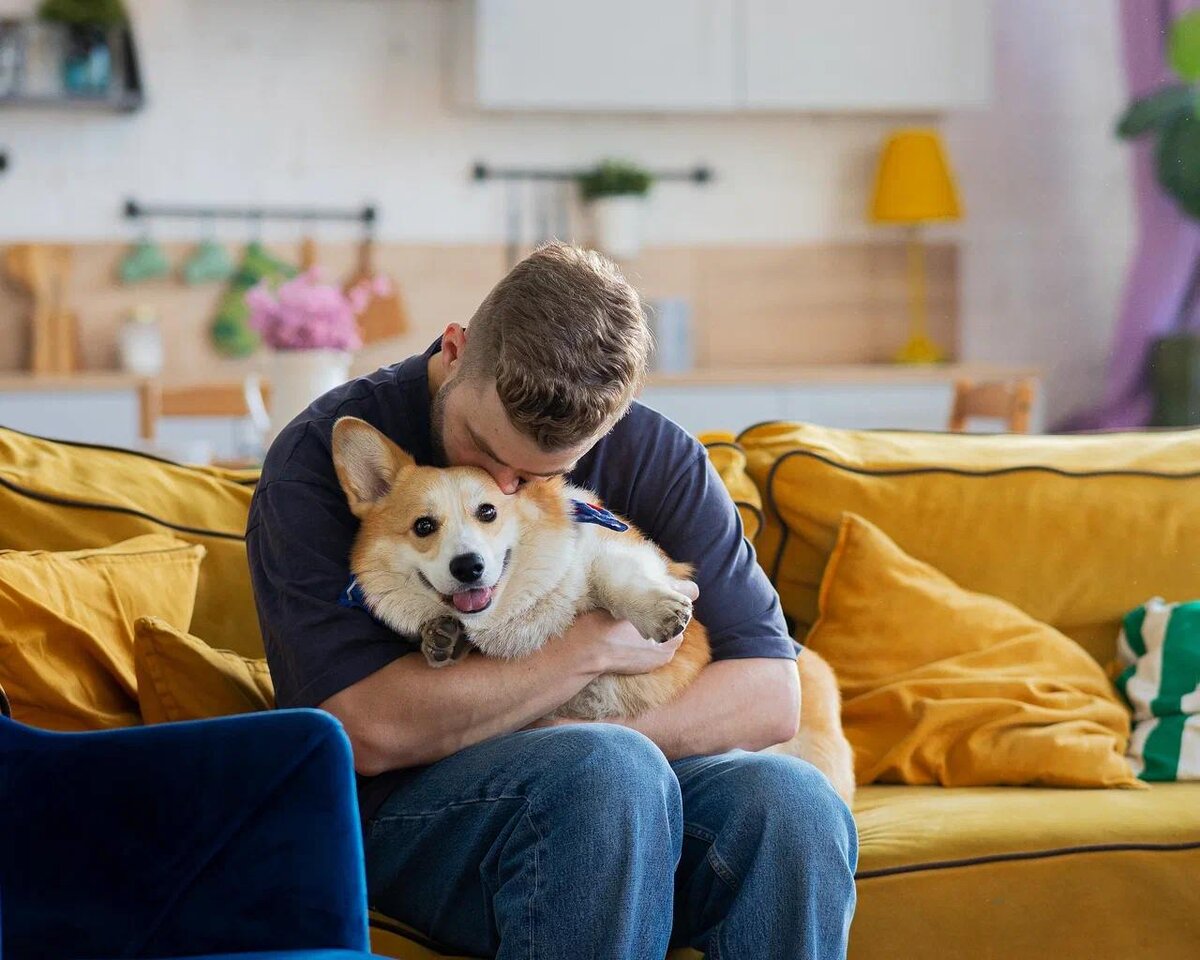 Знакомьтесь: Игорь, мой муж, и Чечил, наша общая любовь