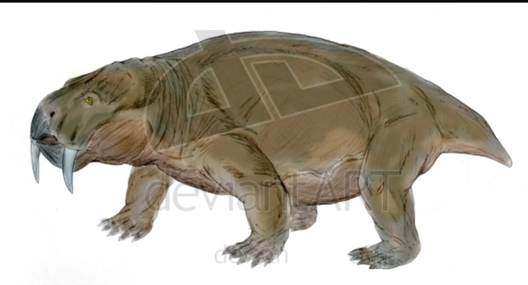 Клыкастый радиодром.