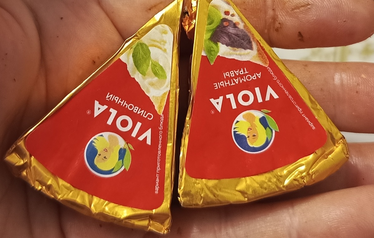 Фото автора статьи