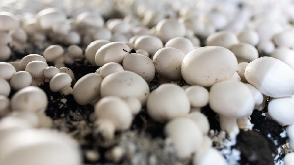 Фото: Олег Харсеев / Коммерсантъ