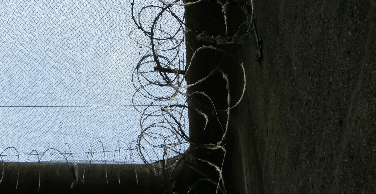 Фото: Bernie Sistek / Unsplash