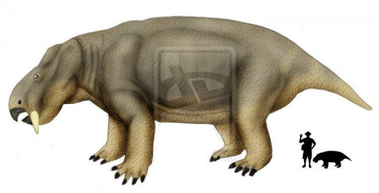 Уралоканнемейерия/уралоканнемейерия по сравнению с человеком (снизу справа).