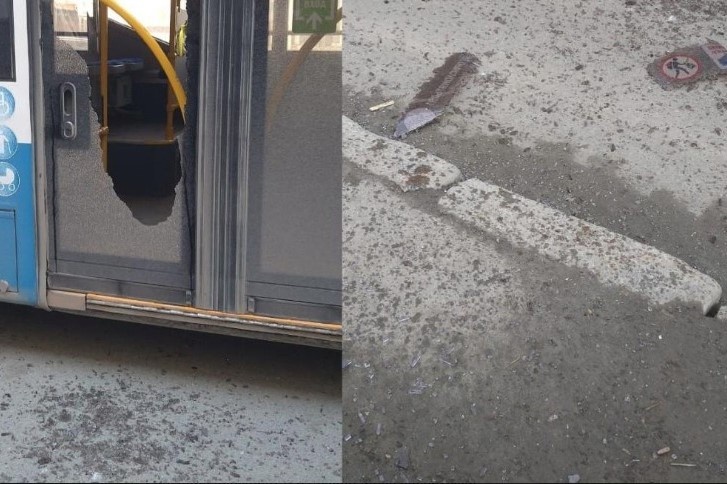    Фото: Затулинка Акатуйский Фламинго Новосибирск \ Telegram