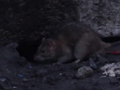    Фото: ГТРК Карелия