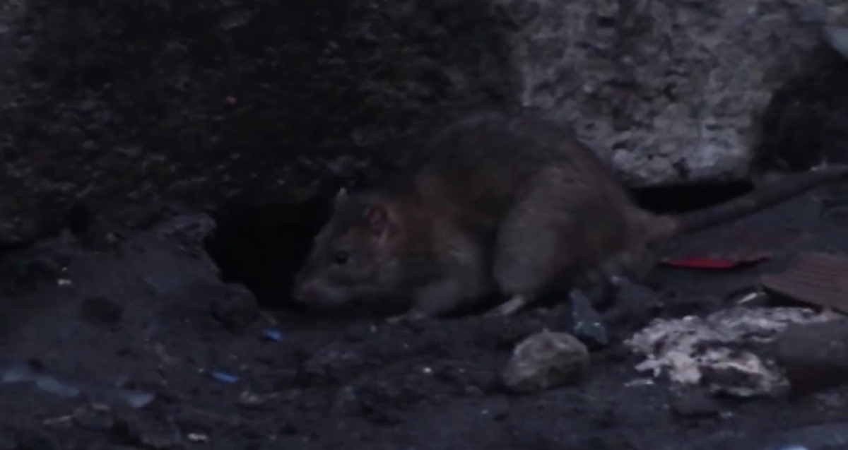    Фото: ГТРК Карелия