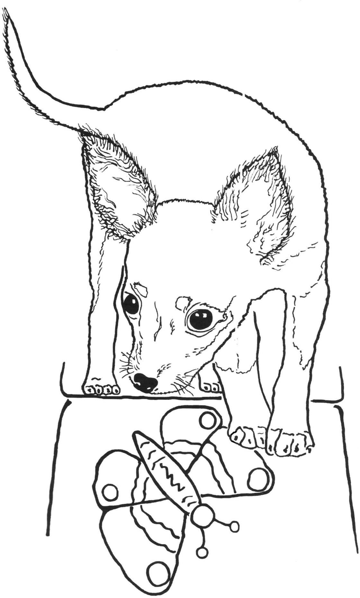 Рисунок автора