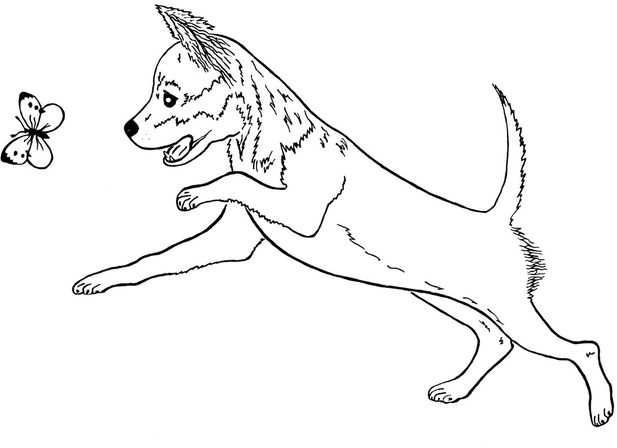 Рисунок автора