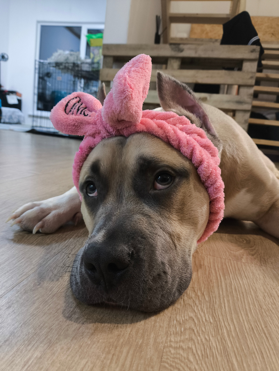 Страдала, как Дизель на этой фотке)