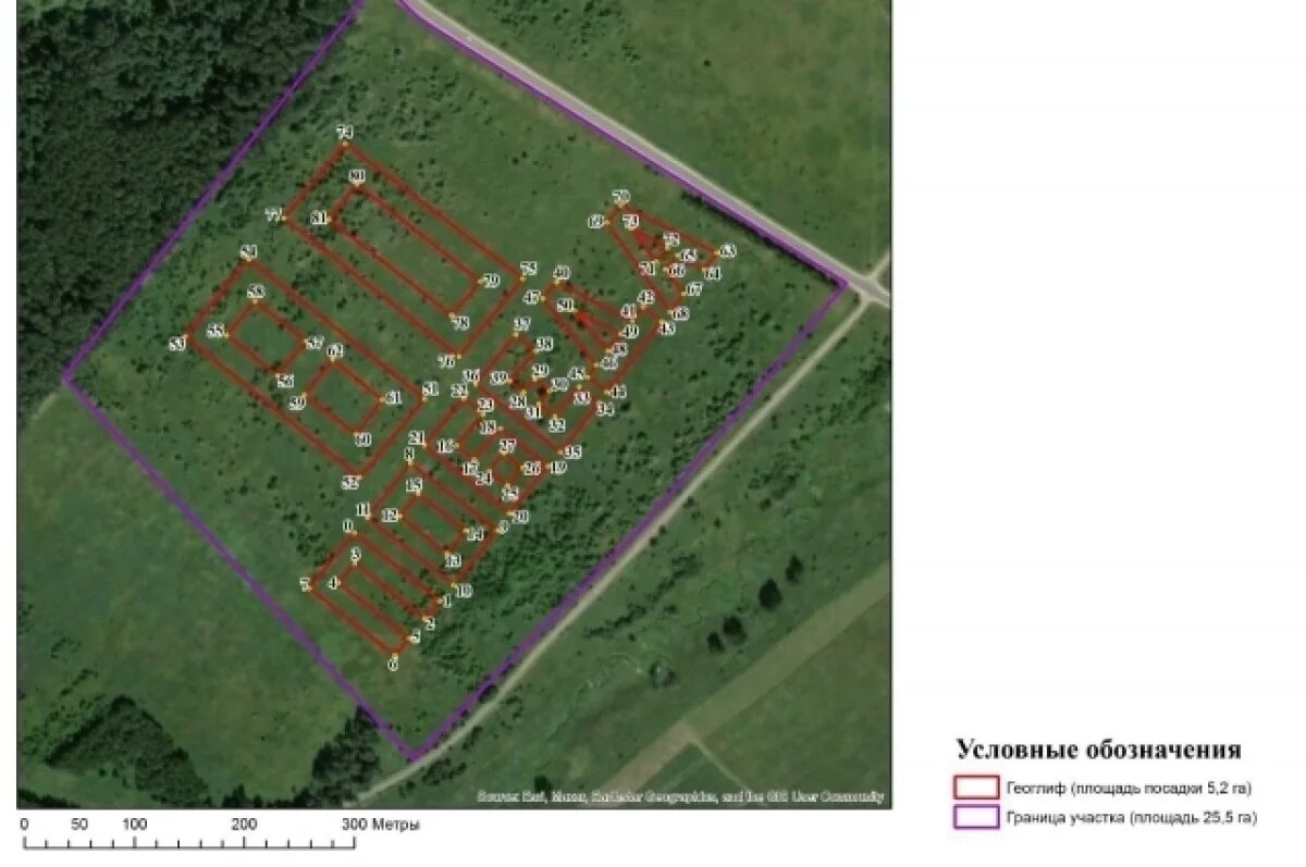    Во Владимирской области в честь юбилея Победы создадут геоглиф