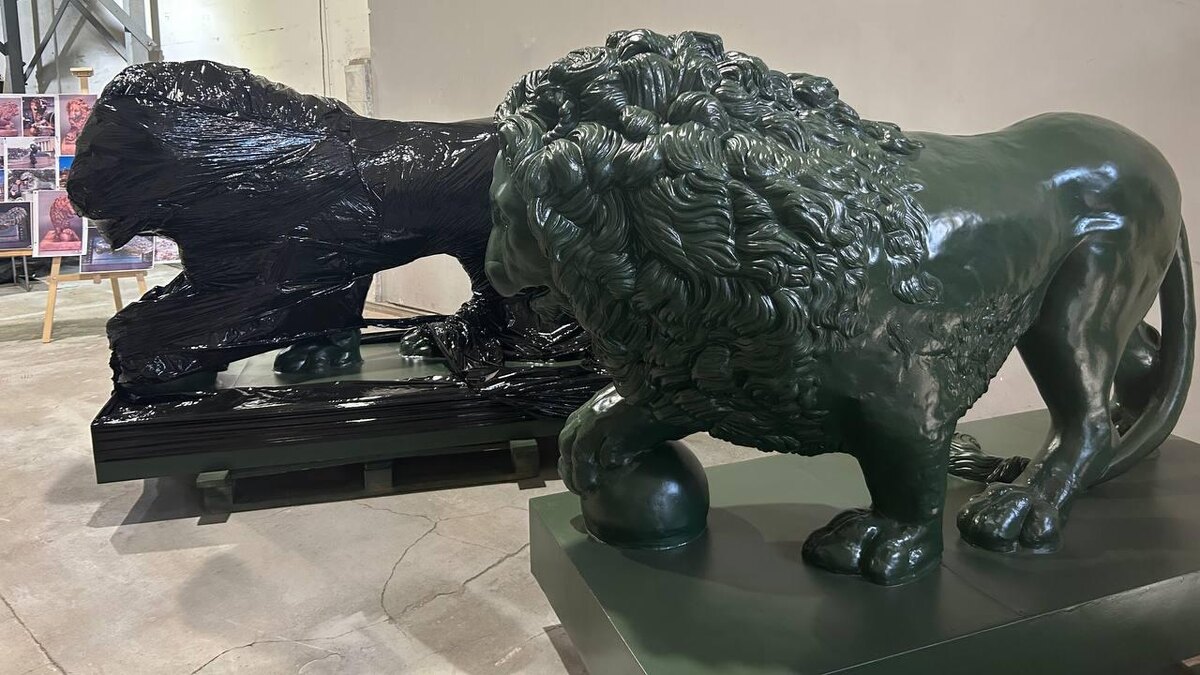    Фото: t.me/gmgs_ru