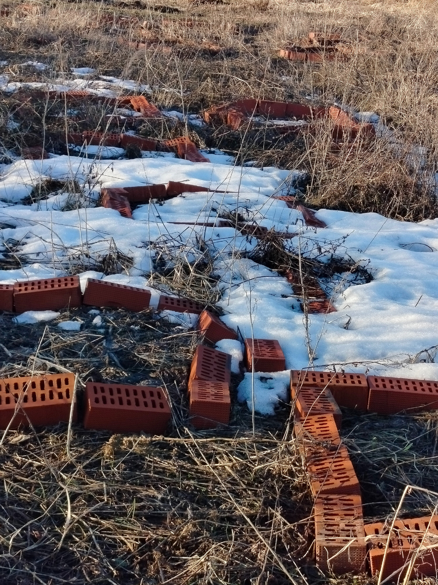 Наша целина, которую мы начали осваивать.