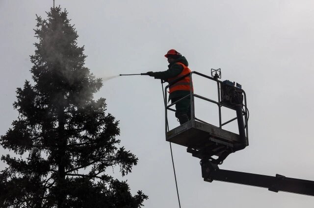    Фото: Мэрия Новосибирска/ Пресс-служба