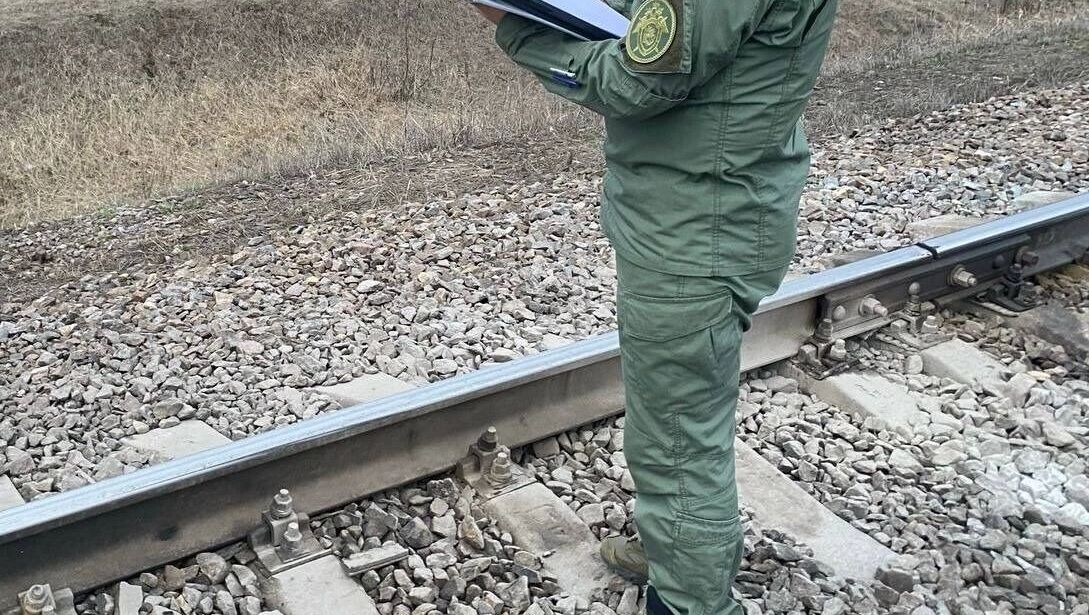     Автор: t.me/zmsutskr