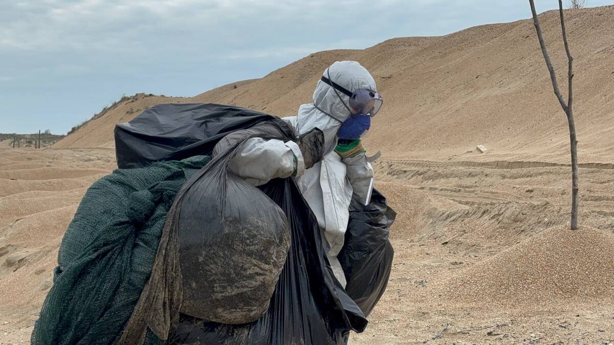    Фото: Оперштаб Кубани