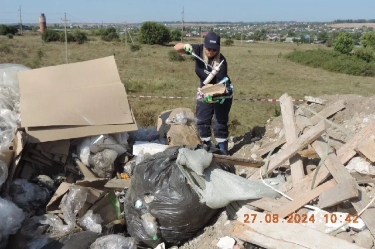    Ущерб от незаконной свалки под Воронежем оценили в 12,8 млн рублей