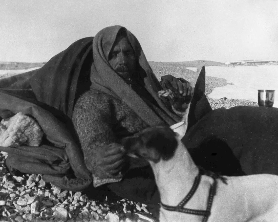 Нобиле с Тинтиной сразу после спасения. 