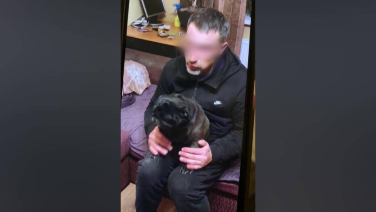    Владельца-в рехаб, питомца-родственникам: «Вести» выяснили, как в Уфе сложилась судьба избитого мопса