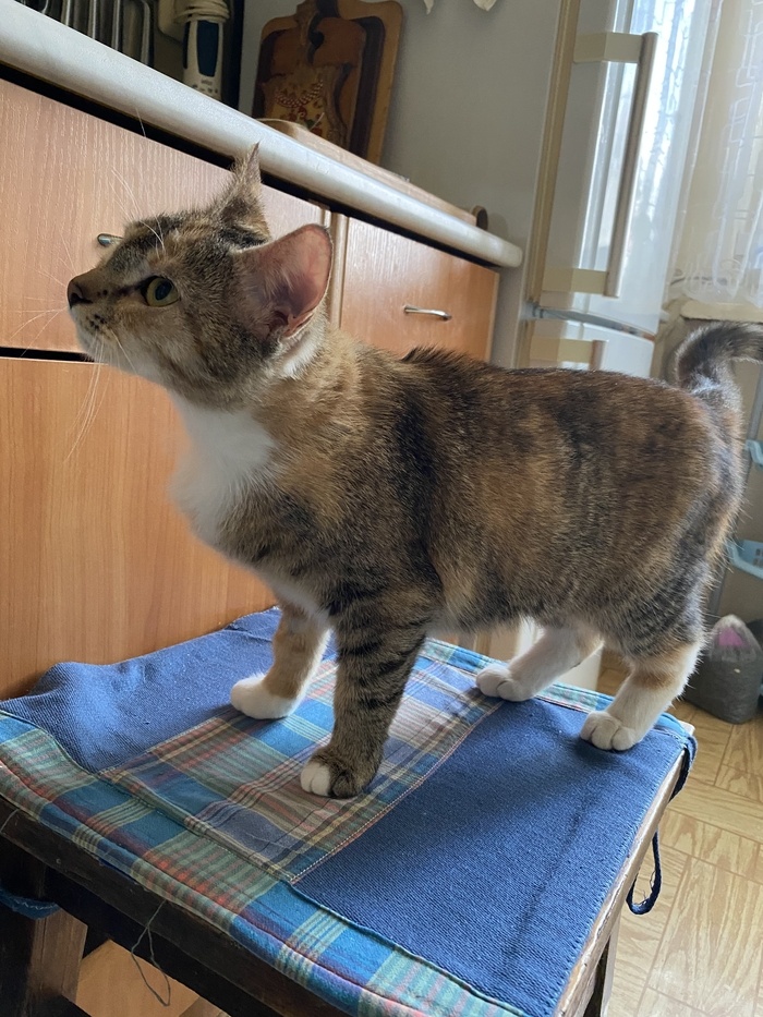 Листайте вправо, чтобы увидеть больше изображений