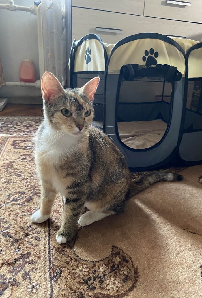 Листайте вправо, чтобы увидеть больше изображений