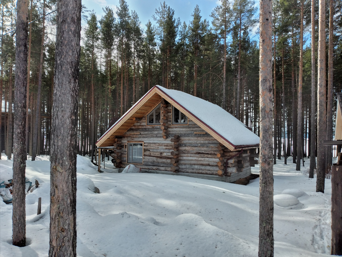 фото автора (Будем жить).