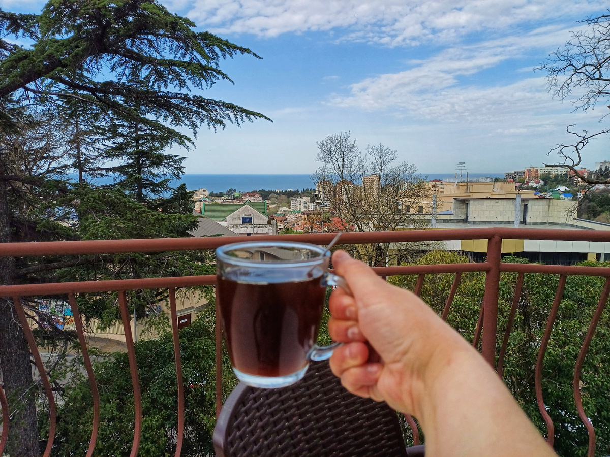 Солнечное утро на нашей террасе. Фото автора. 