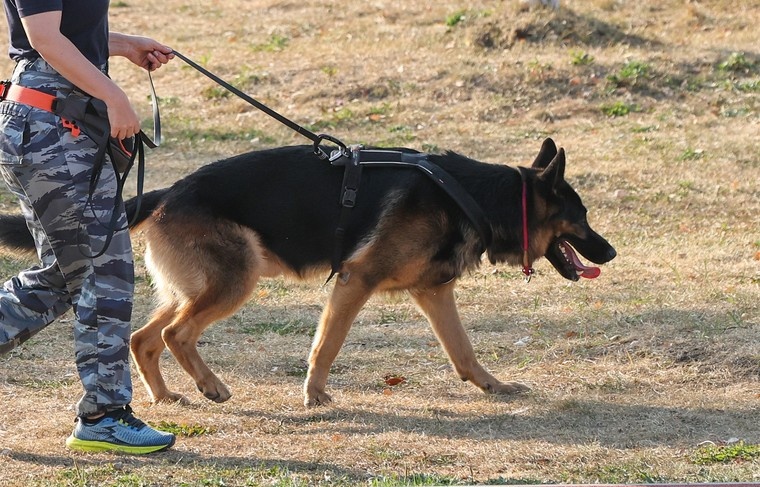    Алексей Белкин/NEWS.ru