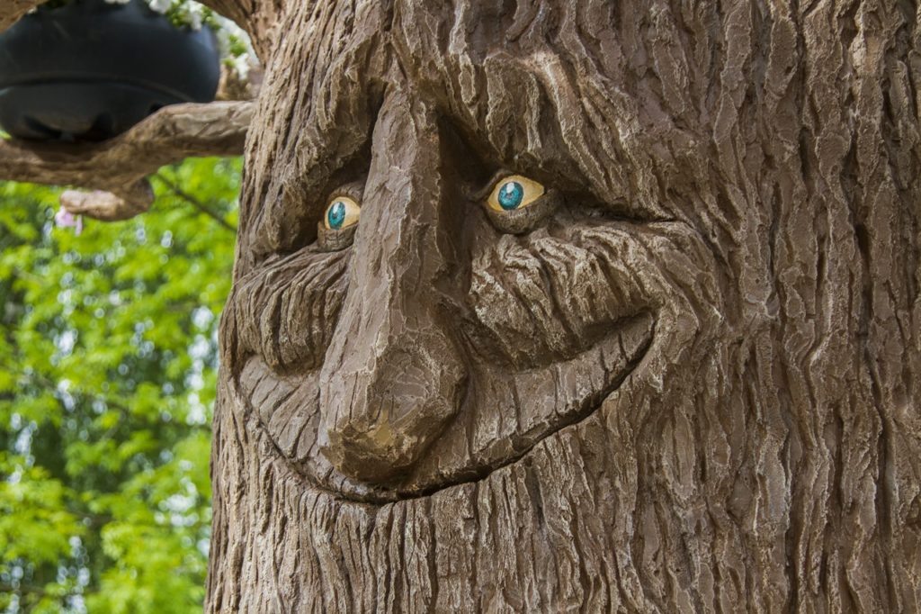    Фото: vk.com/official_smolensk Юля Баранова